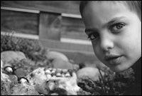 a black and white photo of a boy looking at rocks
