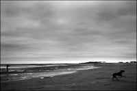 a man is flying a kite on the beach