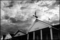a bird perched on top of a house under a cloudy sky